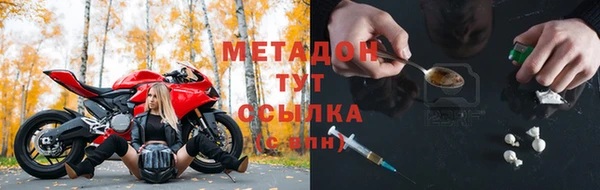 прущие грибы Абаза