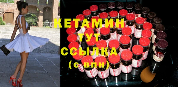 прущие грибы Абаза