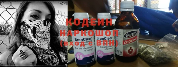 прущие грибы Абаза