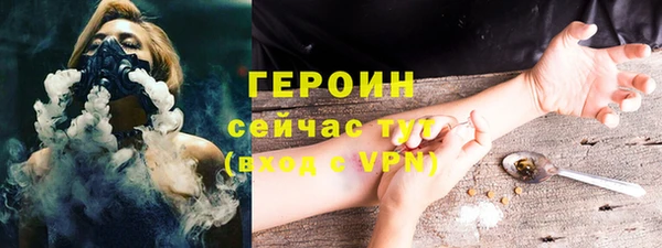 прущие грибы Абаза