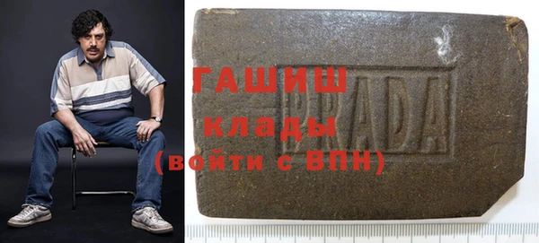 прущие грибы Абаза