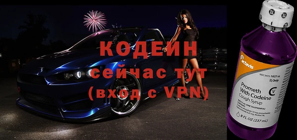прущие грибы Абаза