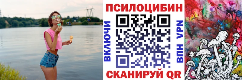 Псилоцибиновые грибы Psilocybe  Тюмень 