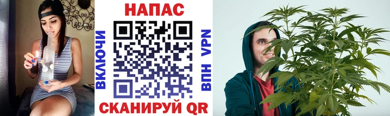 Каннабис сатива  Тюмень 